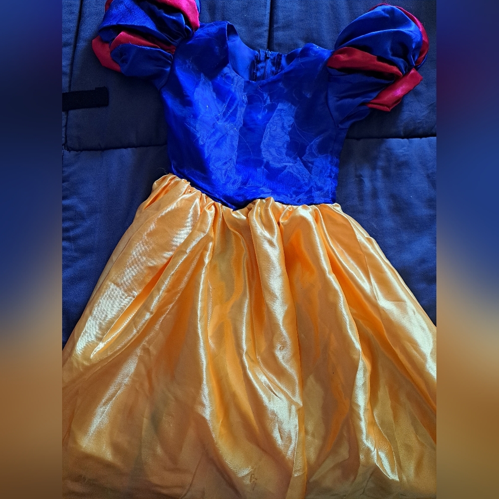 Snow White Princess Costume